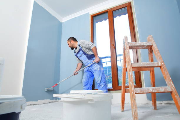 Professional Mold Removal in Clinton, KY