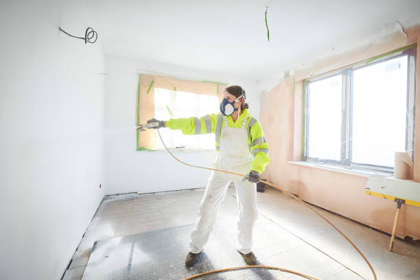 Best Mold Damage Restoration  in Clinton, KY