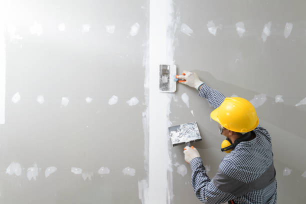 Best Mold Remediation for Healthcare Facilities  in Clinton, KY