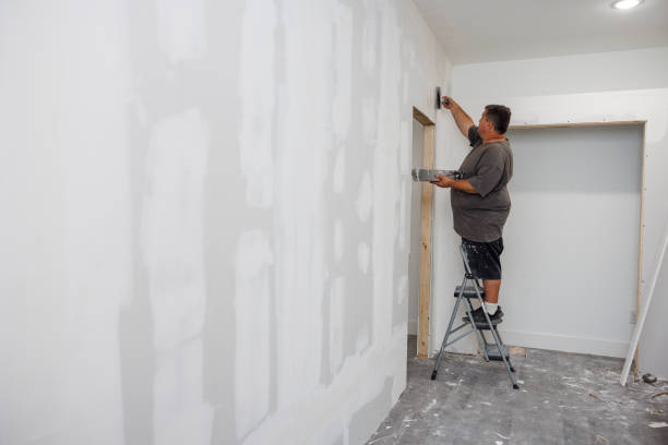 Mold Odor Removal Services in Clinton, KY