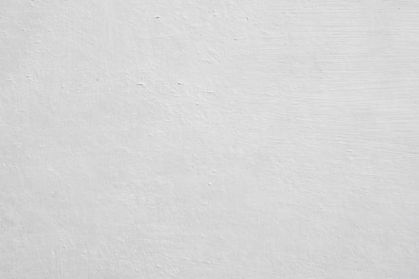 Best Basement Mold Removal  in Clinton, KY