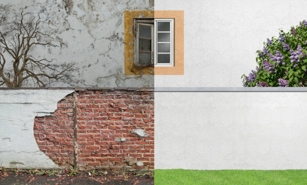 Best Mold Odor Removal Services  in Clinton, KY