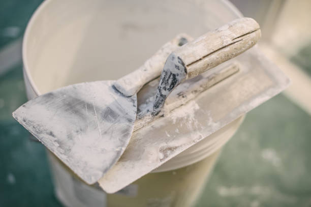 Best Mold Prevention Services  in Clinton, KY
