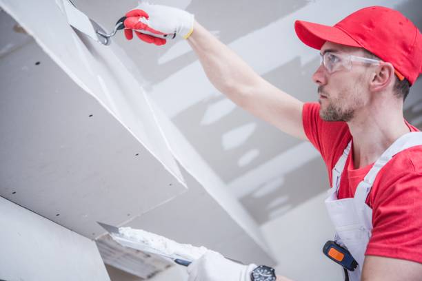 Best Industrial Mold Remediation  in Clinton, KY